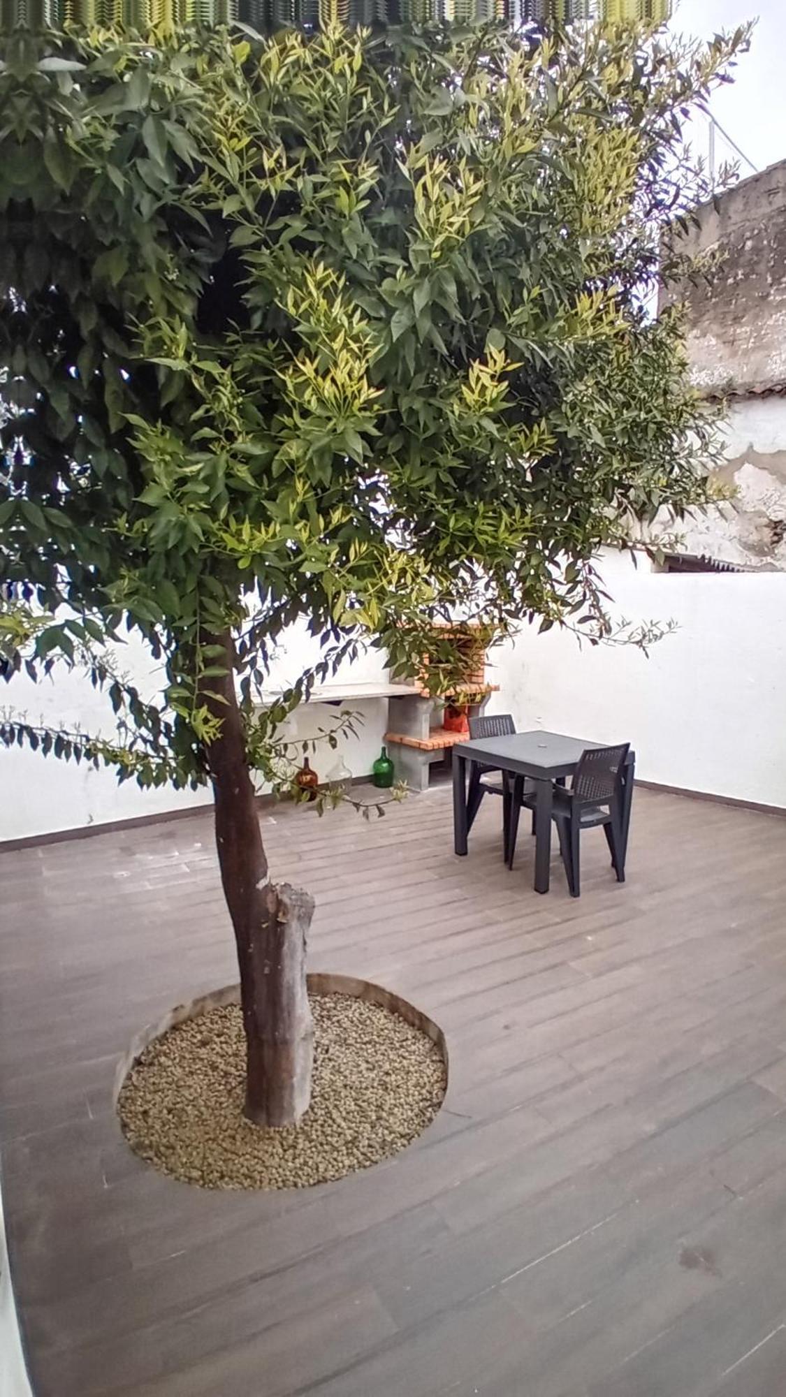 Apartment In Semeador Portalegre Εξωτερικό φωτογραφία